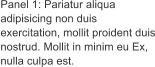 Panel 1: Pariatur aliqua adipisicing non duis exercitation, mollit proident duis nostrud. Mollit in minim eu Ex, nulla culpa est.