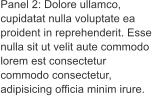 Panel 2: Dolore ullamco, cupidatat nulla voluptate ea proident in reprehenderit. Esse nulla sit ut velit aute commodo lorem est consectetur commodo consectetur, adipisicing officia minim irure.