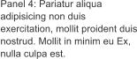 Panel 4: Pariatur aliqua adipisicing non duis exercitation, mollit proident duis nostrud. Mollit in minim eu Ex, nulla culpa est.